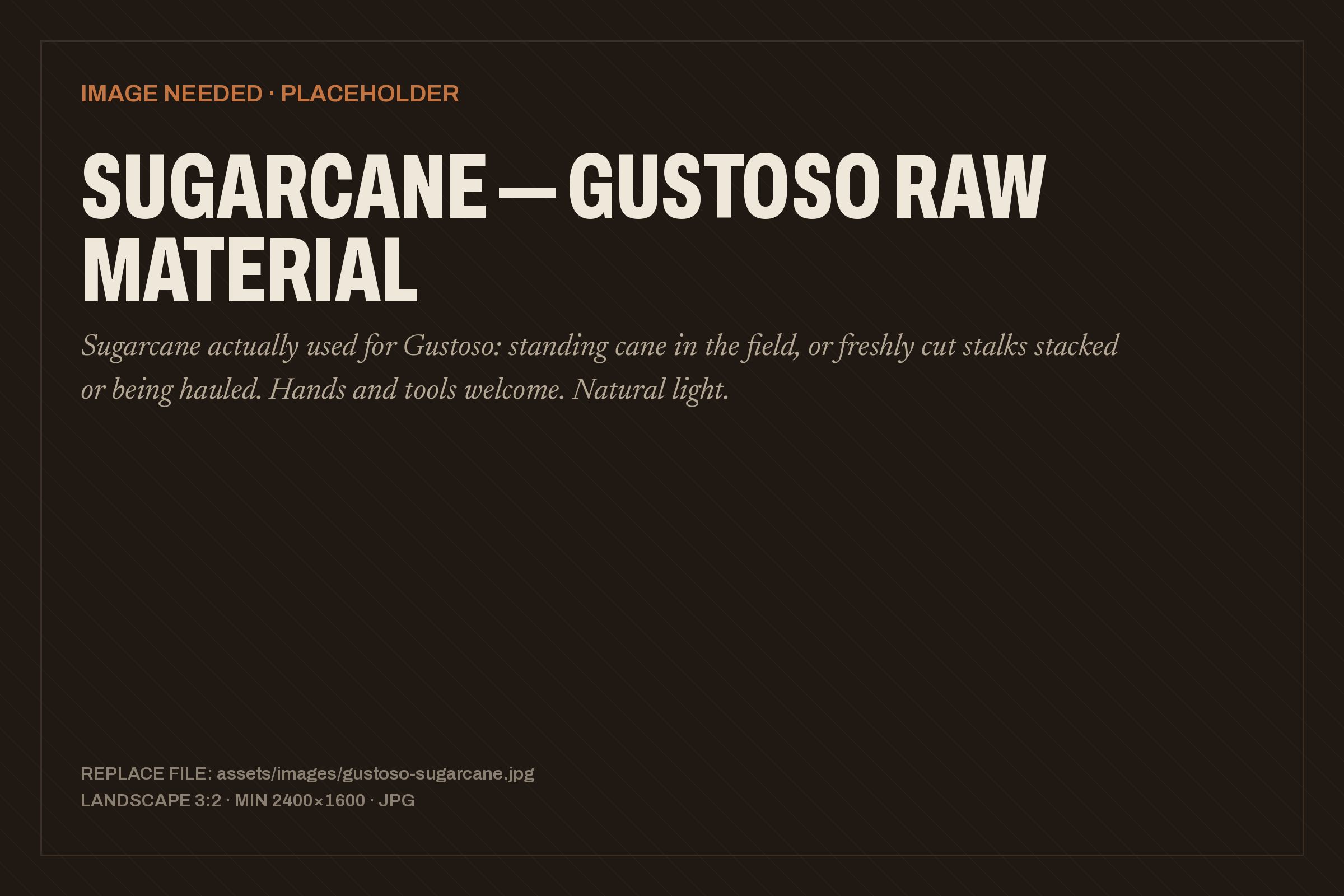 Sugarcane in the field, the raw material for Gustoso Mexican Rum.
