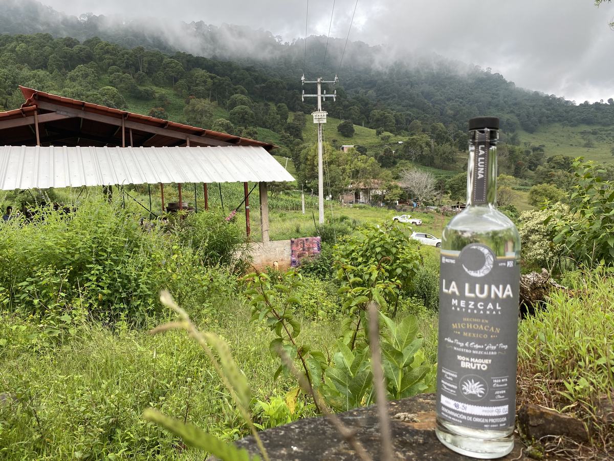 Low cloud over green, forested mountains around the vinata, with a bottle of La Luna Mezcal standing on a stone ledge in the foreground.