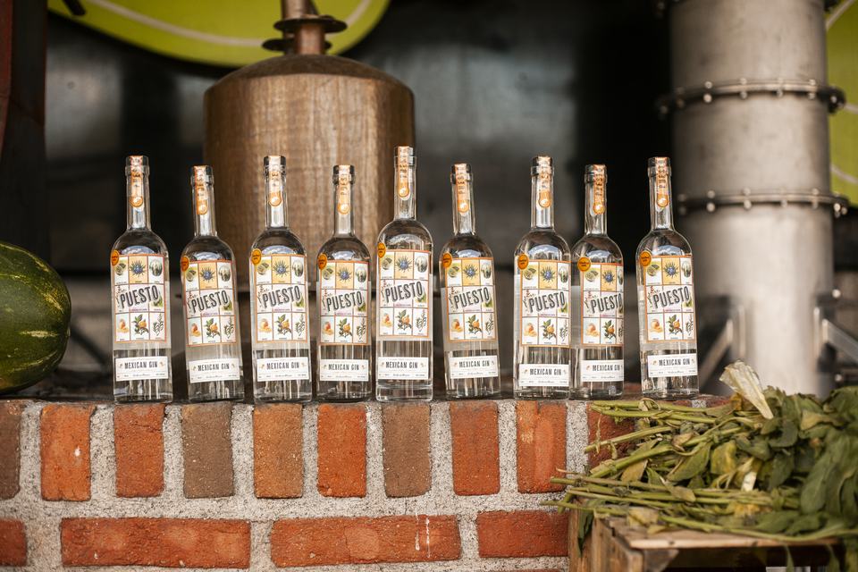 A row of finished Puesto Mexican Gin bottles on a brick ledge in front of the copper still that made them.